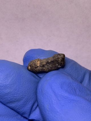 Meteorite NWA 12320 Pairing; Angrite 0.  81 Grams; Rarest Type 11
