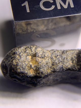Meteorite NWA 12320 Pairing; Angrite 0.  81 Grams; Rarest Type 3