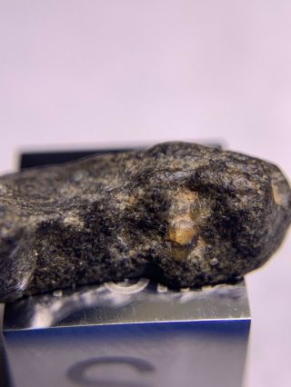 Meteorite NWA 12320 Pairing; Angrite 0.  81 Grams; Rarest Type 8