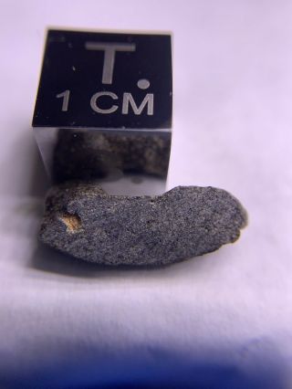 Meteorite NWA 12320 Pairing; Angrite 0.  81 Grams; Rarest Type 9