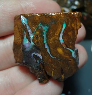 Natural Boulder Opal Rough Parcel From Yowah 2890 Carat Total Lapidary Hobby 3