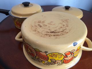 Vintage 60s 70s Merry Mushroom & Citrus Enamelware Stock Pot Dutch Oven Set 3