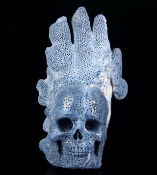 Huge 6.  0 " Blue Sponge Coral Carved Crystal Skull Sculpture,  Crystal Healing
