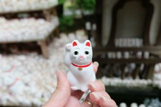Rare Japanese Lucky Cat Maneki Neko Gotokuji Red Collect Home Deco Gift