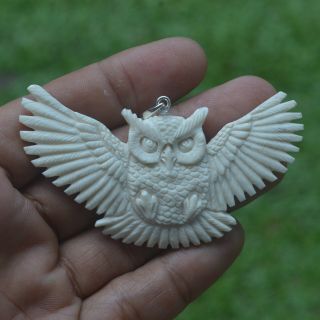 Owl Carving 37x75mm Pendant P3365 W Silver In Buffalo Bone Carved