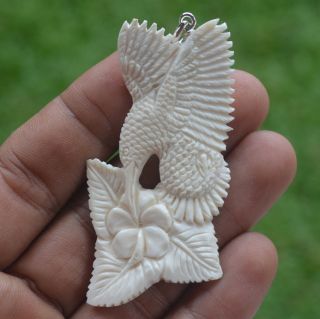 Humming Bird Carving 63x30mm Pendant P2120 W/ Silver In Buffalo Bone Carved