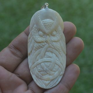 Owl Carving 71x35mm Pendant P3570 W Silver In Buffalo Bone Carved