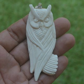 Owl Carving 77x30mm Pendant P4032 W Silver In Buffalo Bone Carved