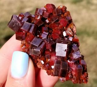 Sweet Lustrous Dark Cherry Red Vanadinite Crystals On Matrix From Morocco (: (: