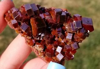 Sweet Lustrous Dark Cherry Red Vanadinite Crystals On Matrix From Morocco (: (: 2