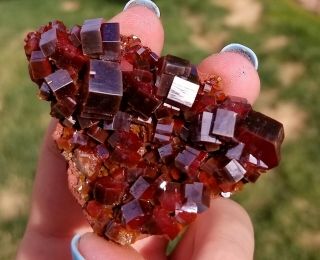 Sweet Lustrous Dark Cherry Red Vanadinite Crystals On Matrix From Morocco (: (: 4