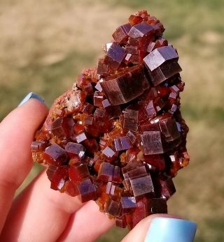 Sweet Lustrous Dark Cherry Red Vanadinite Crystals On Matrix From Morocco (: (: 5
