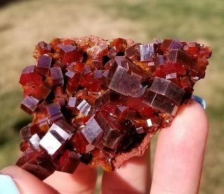 Sweet Lustrous Dark Cherry Red Vanadinite Crystals On Matrix From Morocco (: (: 6