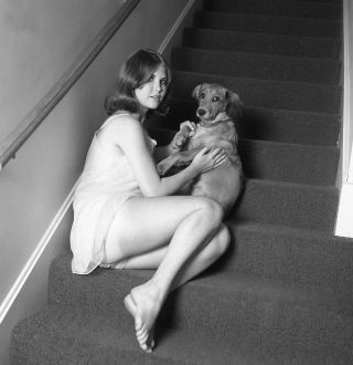 1960s Ron Vogel Negative,  Sexy Pin - Up Girl Cynthia Rodriguez With Dog,  T207600