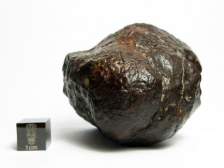 NWA x Meteorite 188.  87g Windowed Half Stone (Cut and Polished to see Inside) 2
