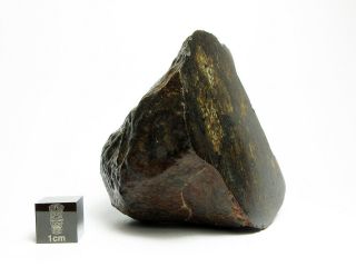 NWA x Meteorite 188.  87g Windowed Half Stone (Cut and Polished to see Inside) 3