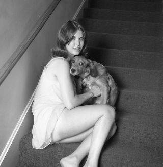 1960s Ron Vogel Negative,  Sexy Pin - Up Girl Cynthia Rodriguez With Dog,  T207601