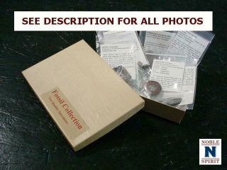Noblespirit {3970}great Selection Of 10x Fossil Specimens