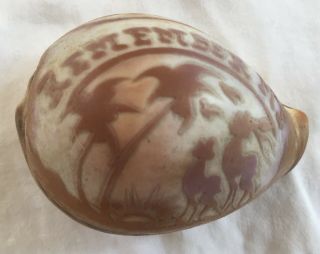 Antique Or Vintage Carved Tiger Cowrie Sea Shell - " Remember Me " - Cowry Seashell