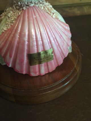 Vintage Seashell Doll Souvenir Of Sundial Port Isabel Texas 3