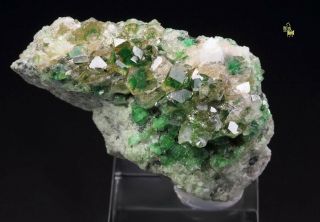 Quebul Fine Minerals - Garnet Var.  Grossular With Chromian Phantoms - Canada