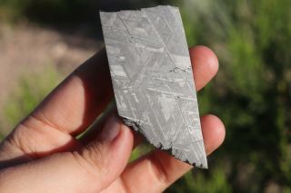 Muonionalusta Meteorite Etched Part Slice 86.  6 Grams