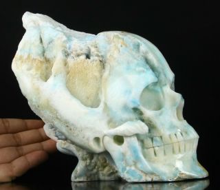 Huge 6.  8 " Blue Aragonite Druse Carved Crystal Skull Sculpture,  Crystal Healing