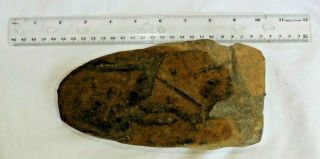 Seven (7) NJ PA Native American Indian Stone Tool Axe Heads Arrowhead Artifacts 7