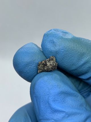 Meteorite NWA D’ORBIGNY ; Angrite 0.  44 Grams; Rarest Type Piece 7