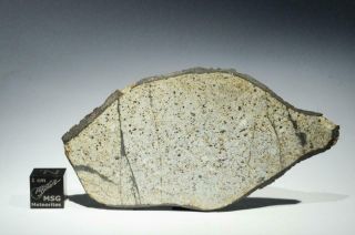Vinales Meteorite Full Slice Weighing 16.  9g Fresh Fall From Cuba