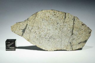 Vinales Meteorite full slice weighing 16.  9g Fresh fall from Cuba 2