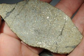 Vinales Meteorite full slice weighing 16.  9g Fresh fall from Cuba 5
