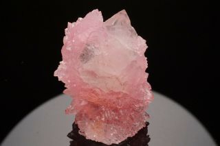 AESTHETIC Rose Quartz Crystal Cluster TAQUARAL,  BRAZIL 12