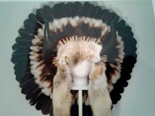 Tatanka Buffalo Horn Indian Headdress 36 " Bonnet Native American Navajo