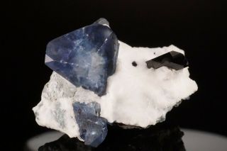 Benitoite & Neptunite Crystal Cluster Dallas Gem Mine,  California