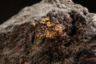 RARE Native Gold with Hematite OURO PRETO,  BRAZIL 2