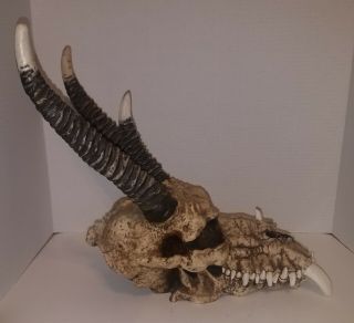 AWESOME DRAGON SKULL Wall/Table Sculpture Medieval Gothic Decor 3 - horned skull 2
