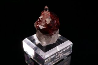 Spessartine Garnet & Quartz Crystal SHENGUS,  PAKISTAN - Ex.  Obodda 11