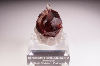 Spessartine Garnet & Quartz Crystal Shengus,  Pakistan - Ex.  Obodda