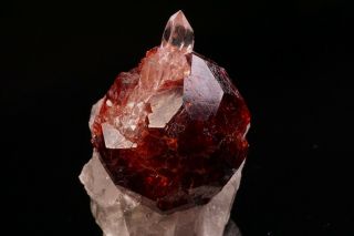 Spessartine Garnet & Quartz Crystal SHENGUS,  PAKISTAN - Ex.  Obodda 2