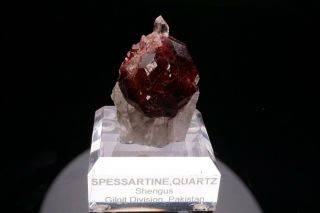 Spessartine Garnet & Quartz Crystal SHENGUS,  PAKISTAN - Ex.  Obodda 4