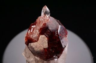 Spessartine Garnet & Quartz Crystal SHENGUS,  PAKISTAN - Ex.  Obodda 5