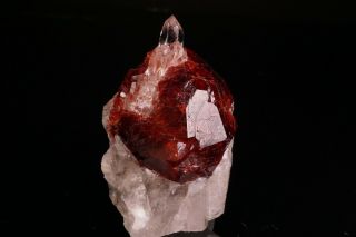 Spessartine Garnet & Quartz Crystal SHENGUS,  PAKISTAN - Ex.  Obodda 7