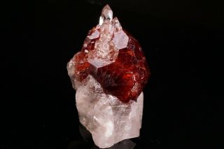 Spessartine Garnet & Quartz Crystal SHENGUS,  PAKISTAN - Ex.  Obodda 9