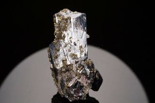 LARGE Pyrargyrite Crystal with Pyrite FRESNILLO,  MEXICO 12