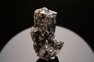 LARGE Pyrargyrite Crystal with Pyrite FRESNILLO,  MEXICO 5