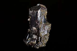 LARGE Pyrargyrite Crystal with Pyrite FRESNILLO,  MEXICO 8