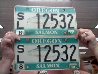 2008 Oregon Salmon License Plate Set
