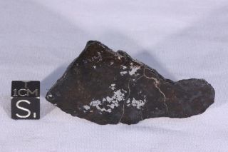 Bondoc Meteorite Etched Full Slice 15 Grams