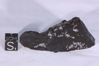 Bondoc Meteorite etched full slice 15 grams 2